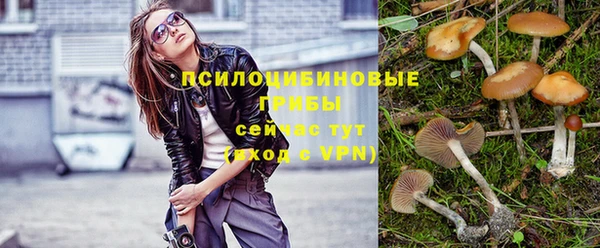 ешки Алзамай