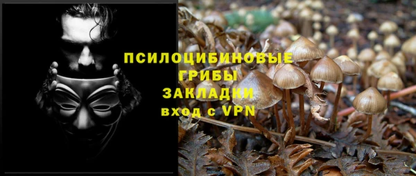 молекула духа Абинск